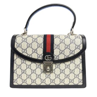GUCCI<br>兩用手提包